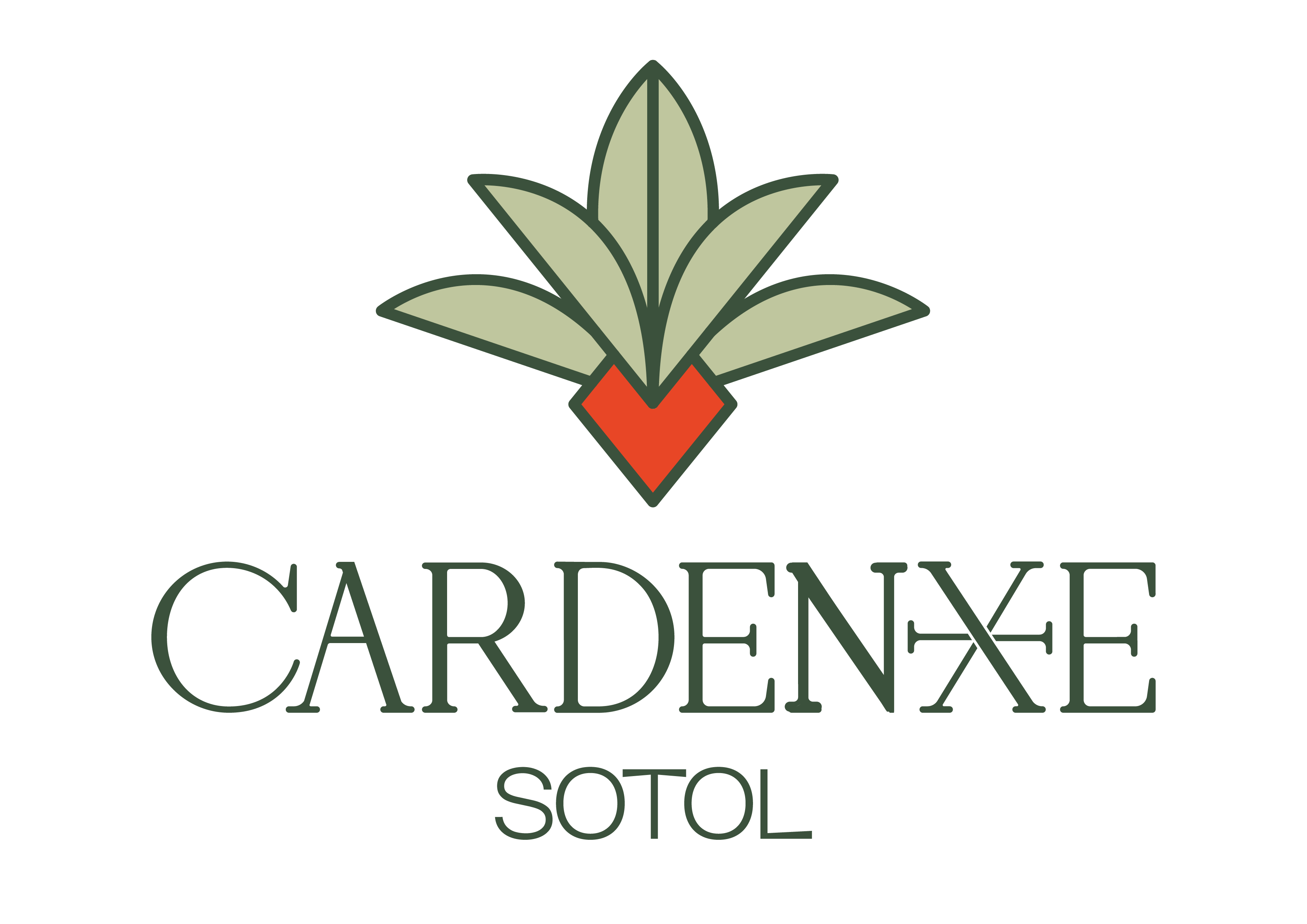 Cardenxe Sotol