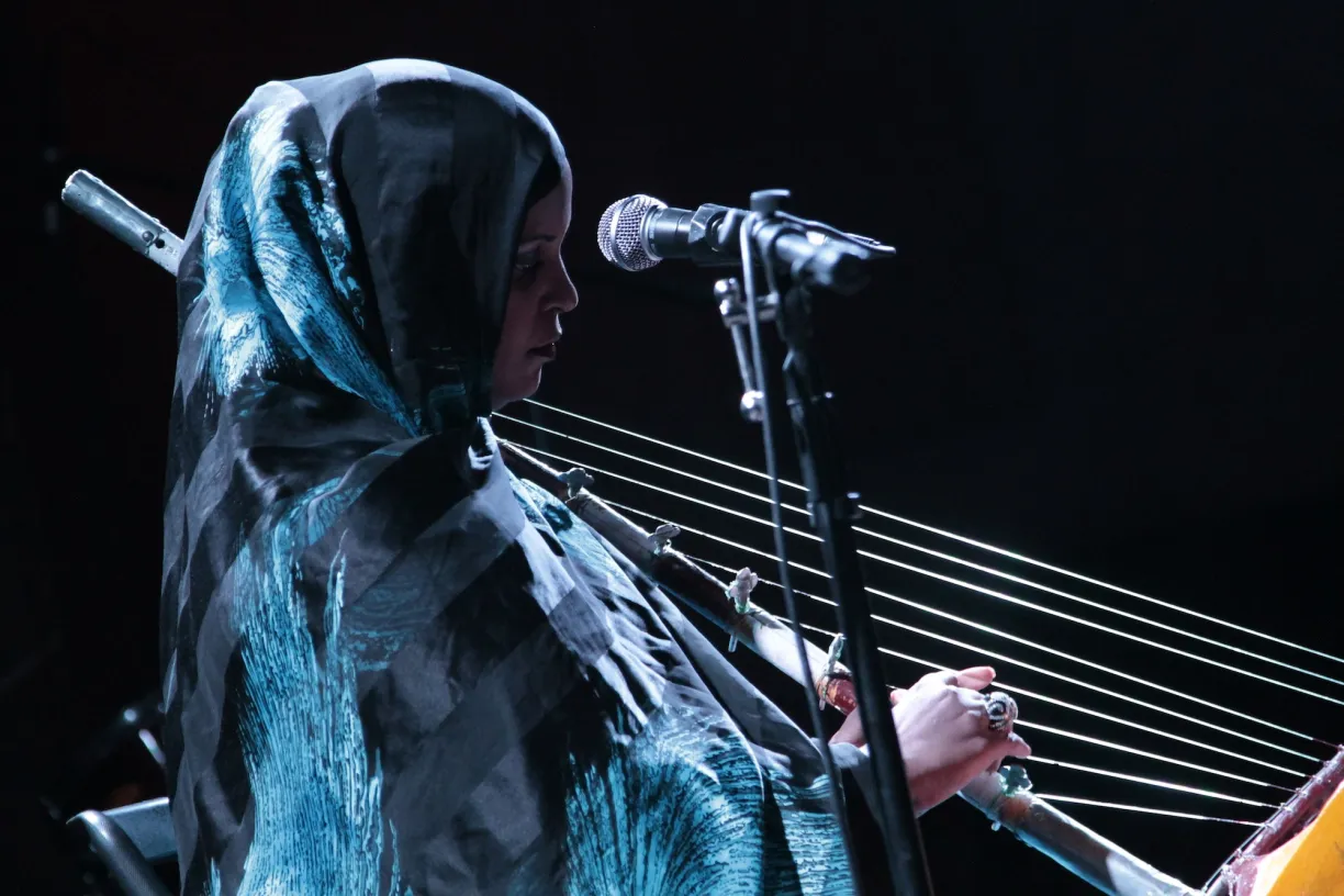 Noura Mint Seymali by Bradley Buehring 9/26/13