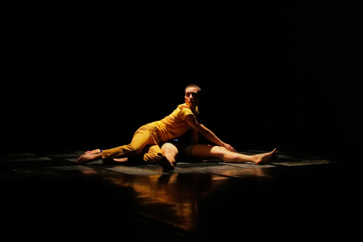devynn emory's "This room this braid"  by Bradley Buehring, January 2014