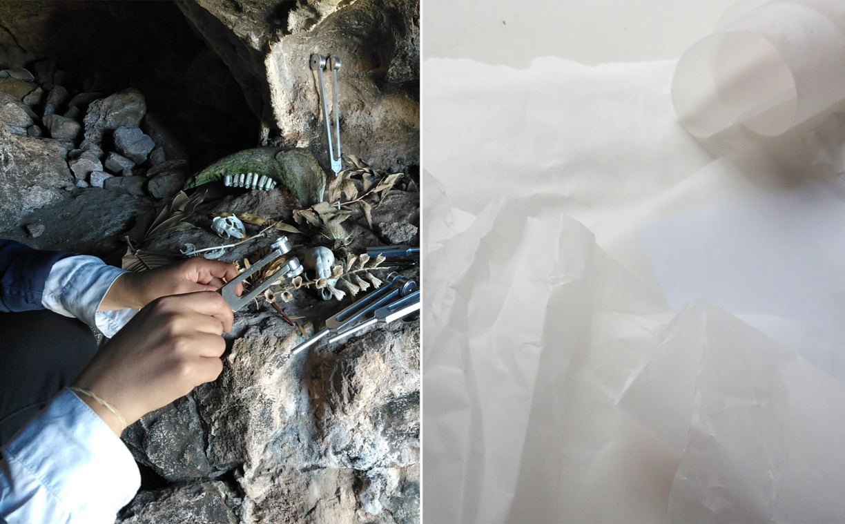 Photo by Dani Williamson, courtesy of Maayan Tsadka (L); photo courtesy of crys cole (R)